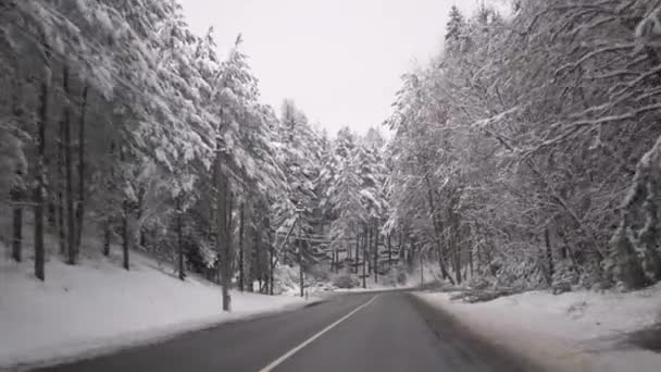 雪の嵐の後に墓地に向かって道路上で車を運転 美しい雪の木と冬の風景 — ストック動画