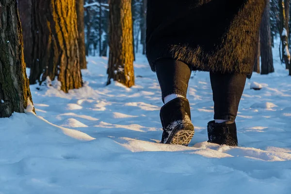 Gros Plan Chaussures Randonnée Marchant Sur Neige Dans Forêt Exploration — Photo