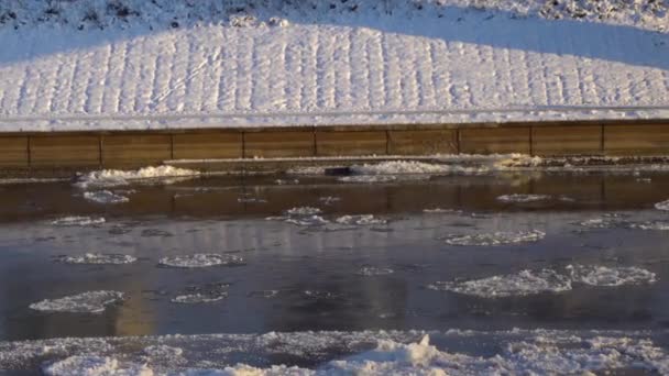 Buzlu Nehrin Yanında Soğuk Havada Koşan Bir Koşucu Formda Sporcu — Stok video