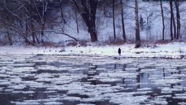 Lonely Silhouette Person Standing Edge Ice Drifting River Stream Reflecting — Stock Video