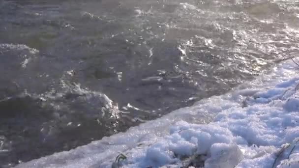 Поривчаста Поверхня Води Холодний Зимовий Ранок Випаровування Річкового Потоку Сонячно — стокове відео