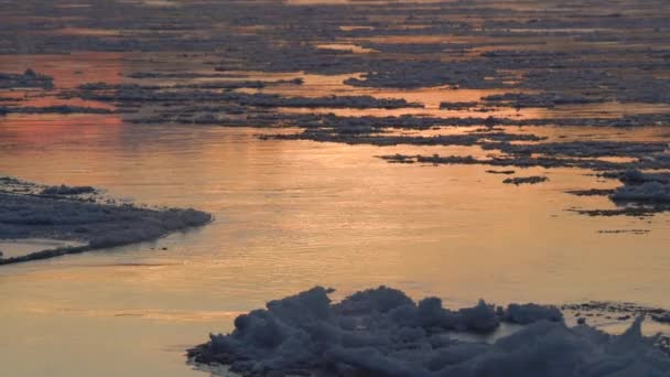 日没時に水面に流れる氷を溶かす 川に氷のドリフト 地球温暖化 — ストック動画