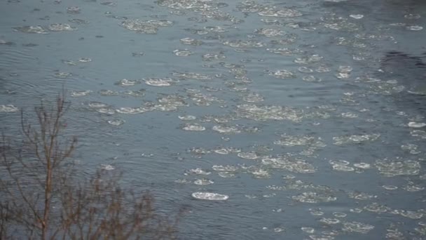 Het Smeltende Ijs Stroomt Het Wateroppervlak Ijsdrift Rivier Opwarming Van — Stockvideo