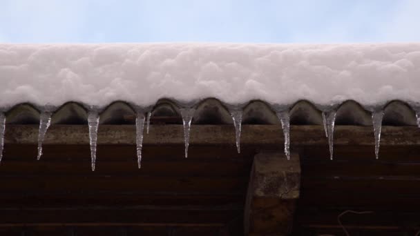 Κοφτερά Παγόβουνα Κρέμονται Στην Άκρη Της Οροφής Τήξη Χιόνι Σχηματίζει — Αρχείο Βίντεο