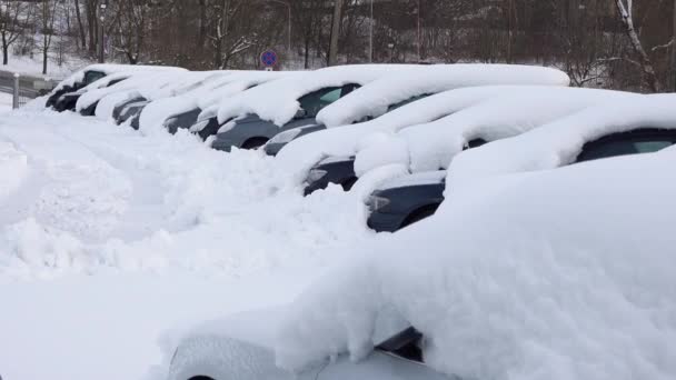 Samochód Pod Grubym Kocem Śniegu Burzy Pojazdy Zakopane Pod Lodem — Wideo stockowe