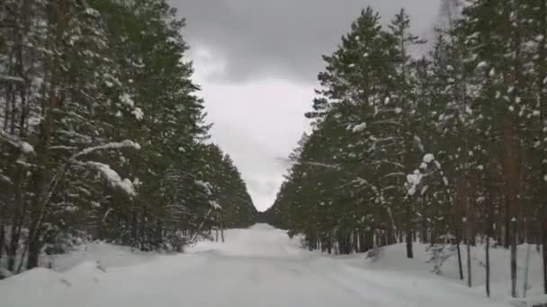 Dirigir Com Cautela Uma Estrada Escorregadia Coberta Neve Floresta Carro — Vídeo de Stock