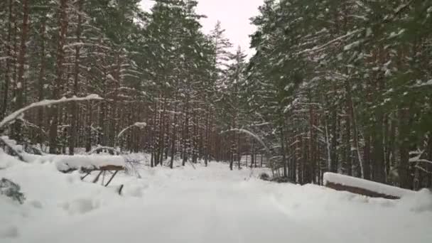 Ехать Осторожно Скользкой Дороге Покрытой Снегом Лесу Автомобиль Едет Пустой — стоковое видео