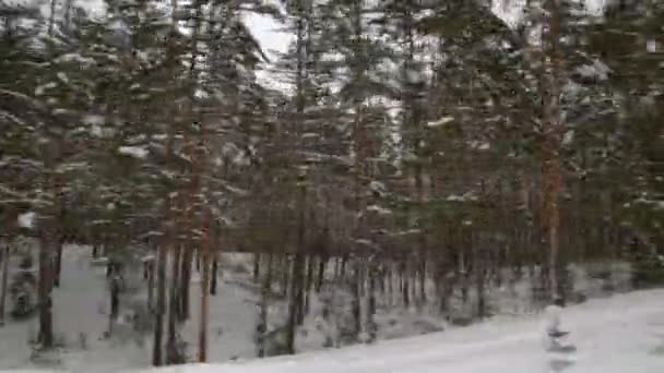 Voorzichtig Rijden Een Gladde Weg Bedekt Met Sneeuw Het Bos — Stockvideo
