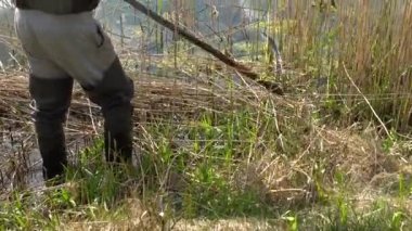 Lastik botları olan bir adam göl kıyısına doğru koşuyor. Güneşli bir günde yaşlı tırpanla zorbalık yapan bir adam. 