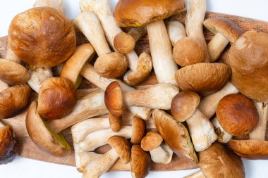 Kahverengi başlıklı Boletus Edulis. Mutfak masasında bir sürü yenilebilir mantar var. Kimse.