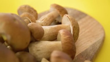 Sarı arka planda kesme tahtasındaki kahverengi şapka Boletus Edulis. Mutfaktaki tahta üzerinde yenilebilir mantarlar. Kimse.