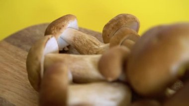 Sarı arka planda kesme tahtasındaki kahverengi şapka Boletus Edulis. Mutfaktaki tahta üzerinde yenilebilir mantarlar. Kimse.