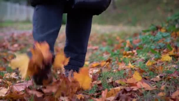 Zbliżenie Kobiecych Nóg Spacerujących Ścieżką Pokrytą Kolorowymi Jesiennymi Liśćmi — Wideo stockowe