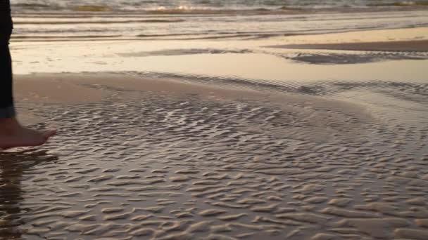Žena Džínách Kráčející Písečné Pláži Při Západu Slunce Zblízka Dívčí — Stock video
