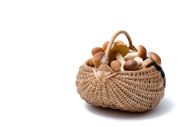 Beyaz arka planda tam hasır Boletus Edulis sepeti var. Yenebilir mantar sepeti ve metin için yer var. Kimse.