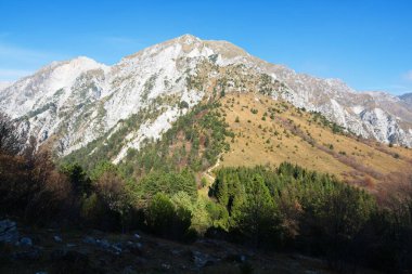 Monte Cuarnan 'a sonbahar manzarası boyunca Monte Chiampon yürüyüşü