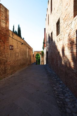 Certaldo, Giovanni Boccaccio 'nun doğduğu ve öldüğü yerdir. Val d 'Elsa' nın merkezinde yer alan bina, tarihi, kültürel ve sanatsal açıdan ilgi gören çok sayıda binaya ev sahipliği yapmaktadır..
