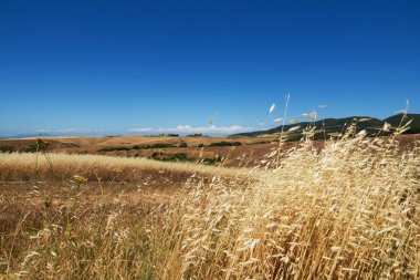Volterra, Roma harabeleri ve ortaçağ binalarıyla Etrüsk kökenli tarihi bir merkez konumundadır. Kaymaktaşının çıkarılması ve işlenmesi ile ünlüdür..