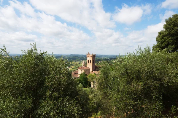 San Miniato Dorp Panoramisch Uitzicht Duomo Kathedraal Platteland Toscane Italië — Stockfoto