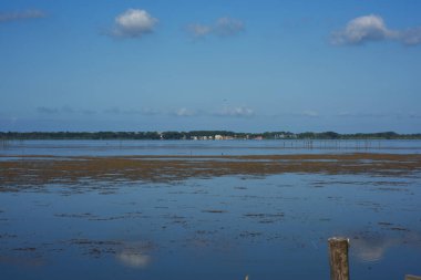 Puccini Gölü manzarası, Puccini Kulesi, Toskana, İtalya