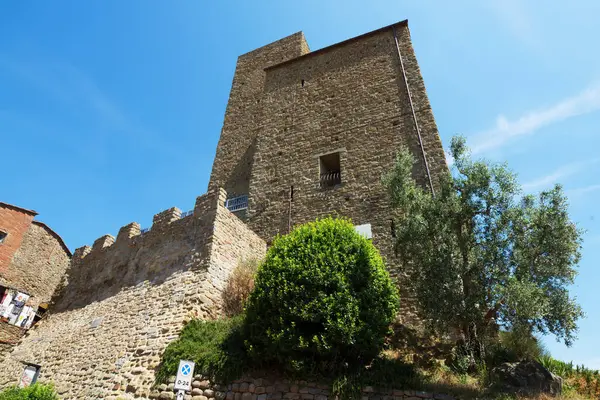 City Leonardo Vinci Born Tuscany Italy — Stock Photo, Image