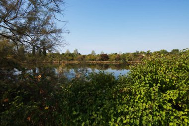 Friuli Venezia 'daki Lagoon Giulia, İtalya, Valle Cavanata doğa rezervi