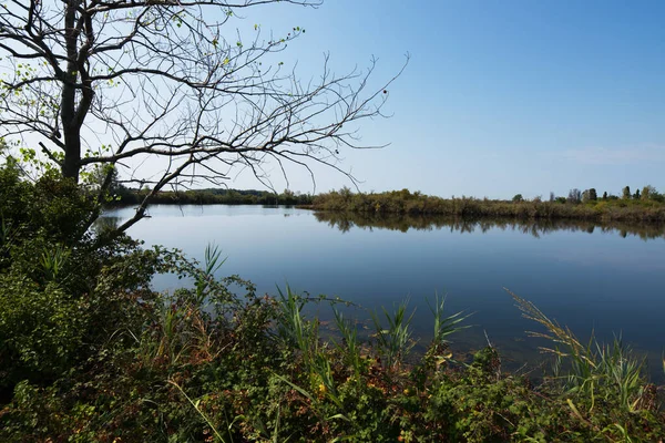 Laguna Friuli Venezia Giulia Itálie Přírodní Rezervace Valle Cavanata — Stock fotografie