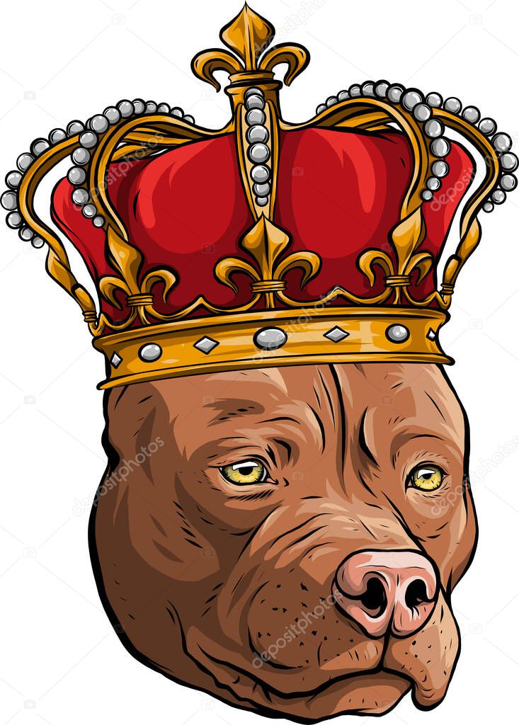 vector Dog illustration king in white background