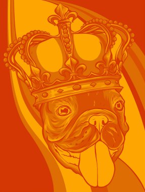 Vector Dog illustration king in colored background vector