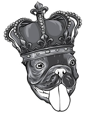 Monochromatic vector Dog illustration king in white background vector