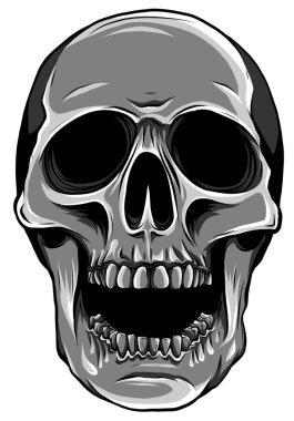 Tek renkli, gerçekçi kızıl kafatası. Beyaz arkaplan üzerindeki tasarımcı için vektör illüstrasyonu.