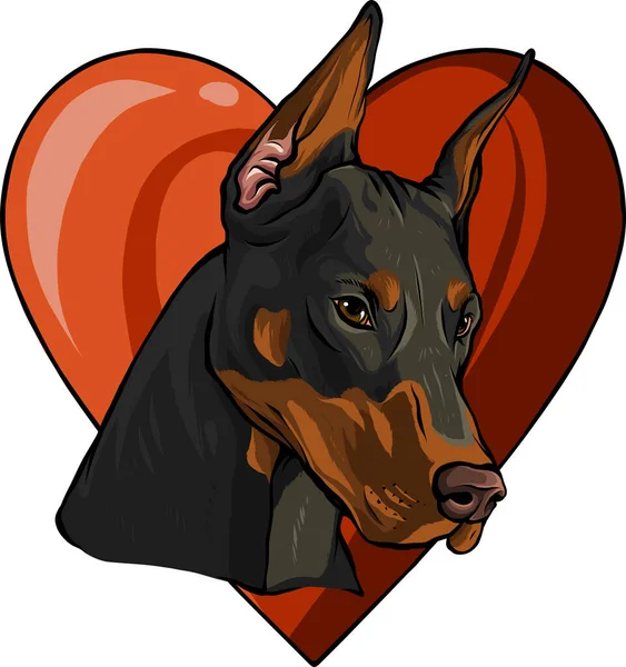 Tête de Dobermann avec illustration vectorielle coeur — Image vectorielle