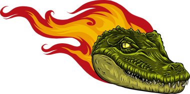 Vektör çizimi, alevli vahşi bir timsah kafası.