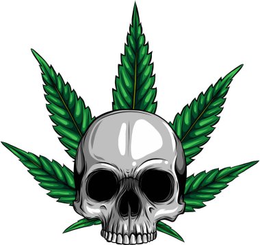 Yapraklı kafatası marihuana baş illüstrasyon tasarımı