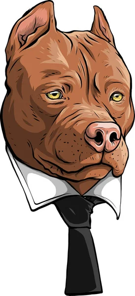 Cabeça de pitbull com design de ilustração vetorial de gravata — Vetor de Stock