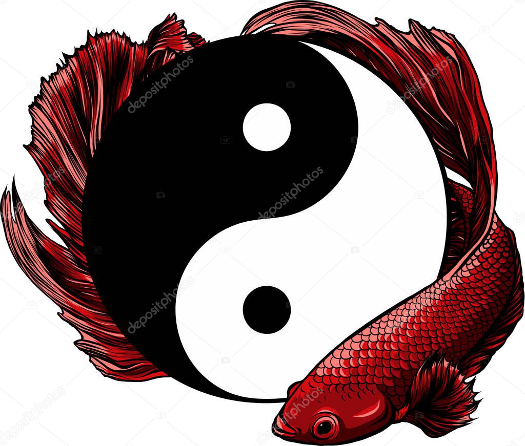 Yin Yang betta splendens fish vector illustration art