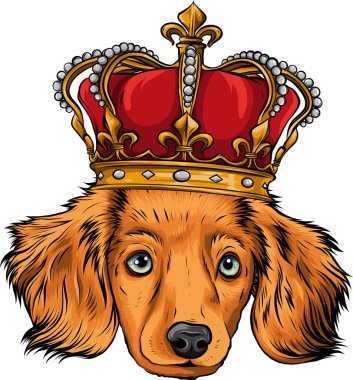Vector head Dog king in white background vector