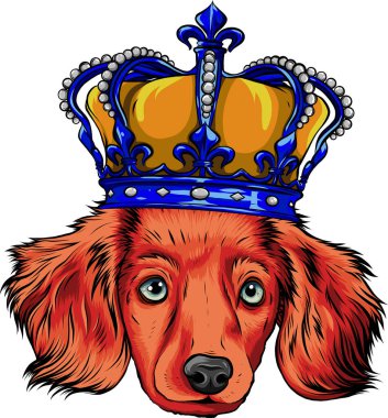 Vector head Dog king in white background vector