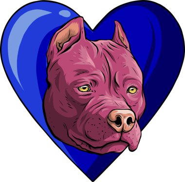 Kafa pitubull köpeğinin kalp çizimi