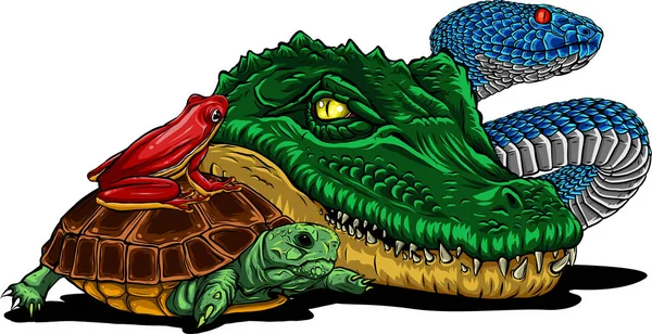 Conjunto de reptiles y anfibios. Cocodrilo salvaje, serpiente, tortuga y rana — Archivo Imágenes Vectoriales