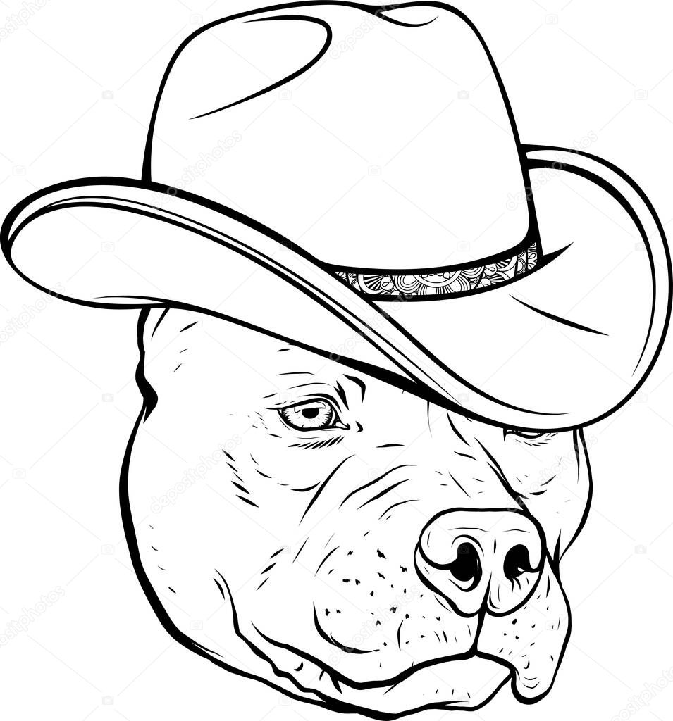 draw in black and white of head pitbull with fedora hat vector illustration