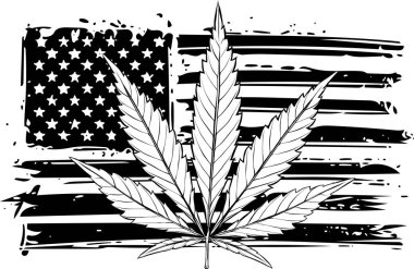 Kenevir yaprağıyla Amerikan bayrağının resmedildiği siyah beyaz bir resim.