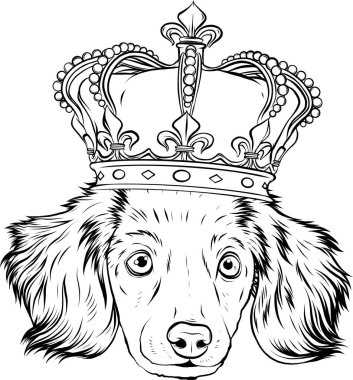 Beyaz arkaplanda vektör başlığının siyah beyaz rengini çiz Köpek kral