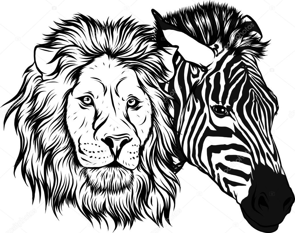 draw in black and white of zabra and lion head vector illustration design