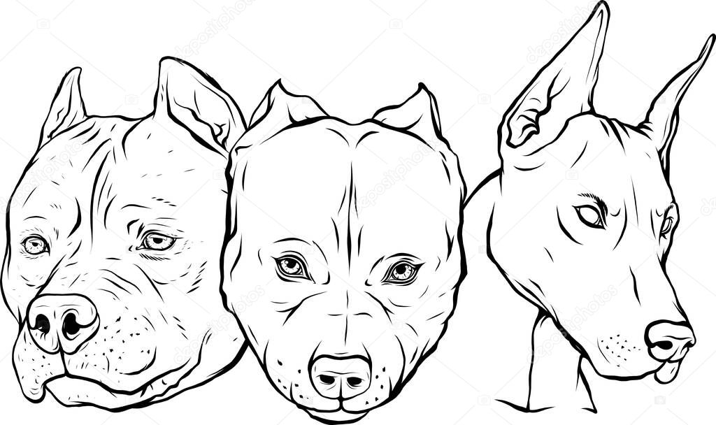 Heads of dogs vector illustration