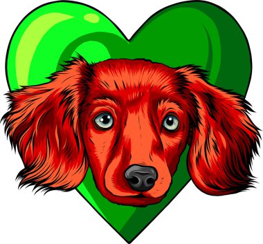 Kalp vektörü illüstrasyonunda yavru köpek başı