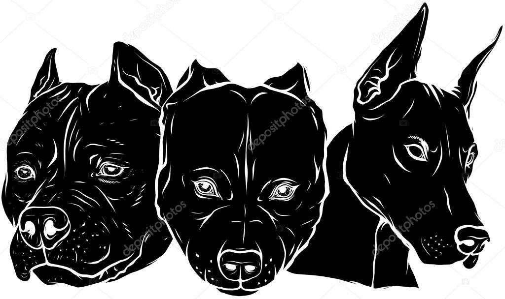 Heads of dogs vector illustration