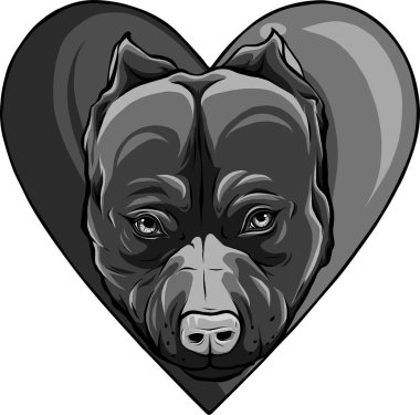 Kalp vektör illüstrasyonunda pitbull başı köpek tasarımı