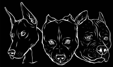 Köpek kafalarının beyaz silueti pitbull dobermann bulldog vektörü