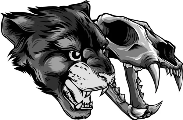 Cougar Panther Head med skalle vektor illustration — Stock vektor